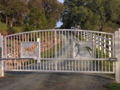 Automatic Driveway Gate